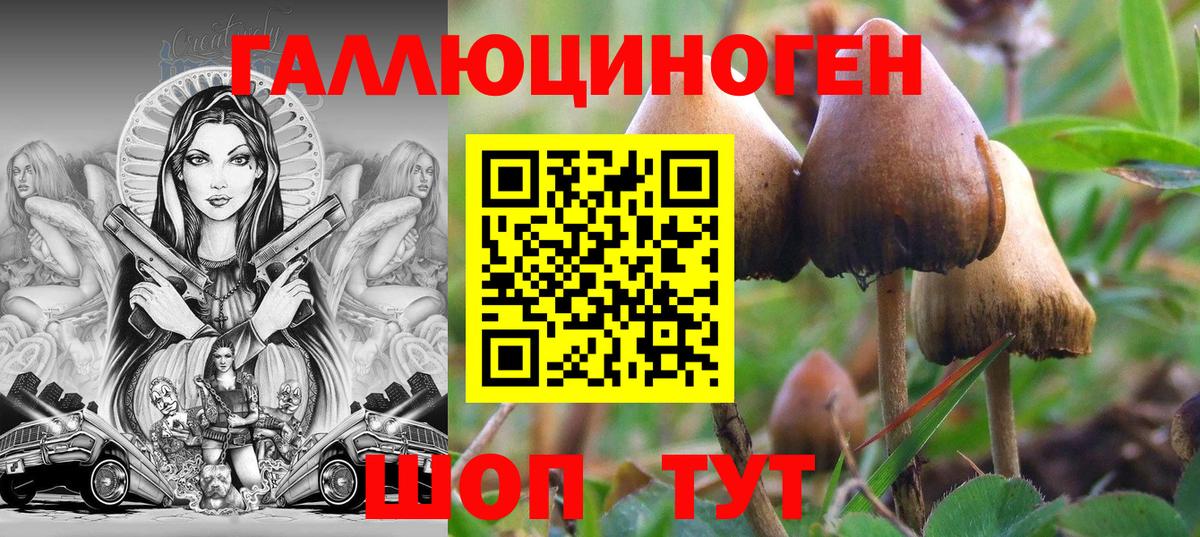 Ейск  Псилоцибиновые грибы мицелий  даркнет сайт  Вход с VPN 